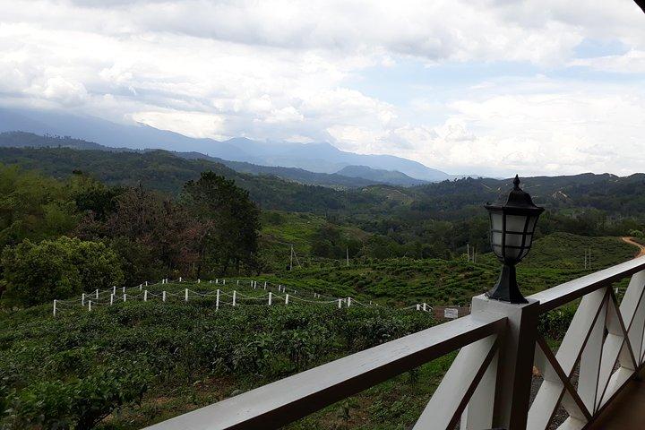 Full Day Sabah Tea Plantation & WWII Memorial