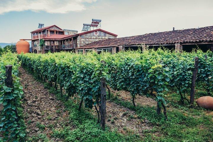 Dos días en la hermosa región vinícola con pensión completa Comidas y degustaciones de Tbilisi