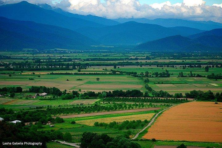Due giorni nella splendida regione del vino con pensione completa Pasti e degustazioni da Tbilisi