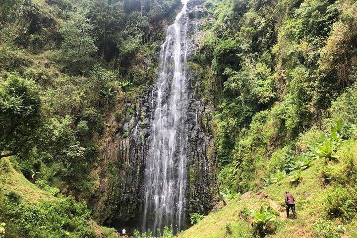 Hoteller i nærheden af Materuni Waterfalls, Coffee & Kikuletwa Hot Spring Day Tour