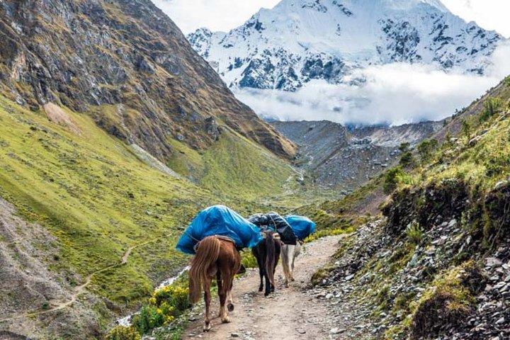 Salkantay Trek 4 dage til Machu Picchu - Retur til Cusco med tog
