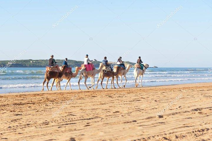 マラケシュからエッサウィラとアルガン工場へのプライベート日帰り旅行