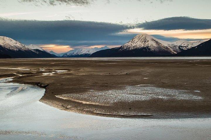 Visite du bras Turnagain