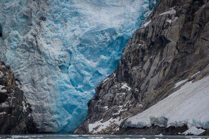 Visite découverte des glaciers et de la faune