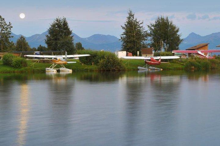 Gletsjer & Wildlife Discovery Tour