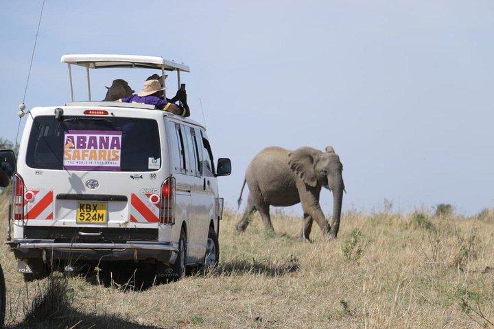 Safari de 3 jours au Masai Mara