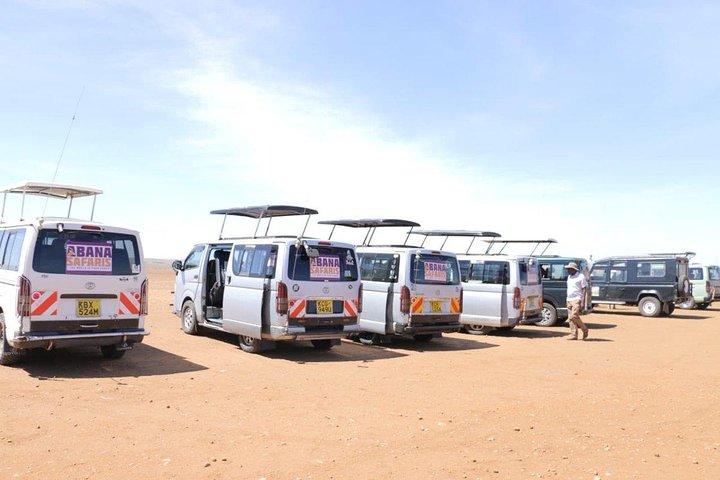Safari de 3 jours au Masai Mara