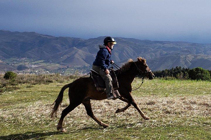 Halbtägige Reittour durch den Sacsayhuaman-Park