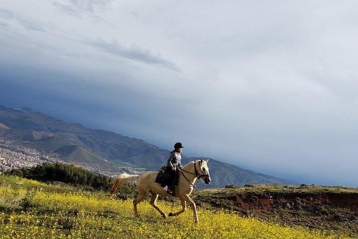 Halbtägige Reittour durch den Sacsayhuaman-Park
