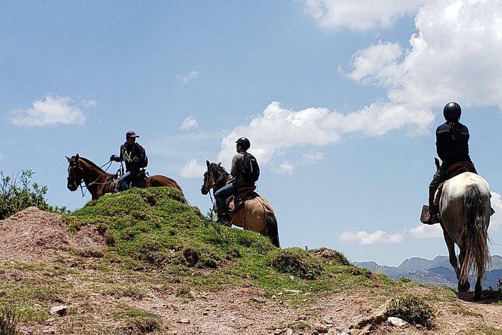 Esperienza equestre - Cavallo paso peruviano