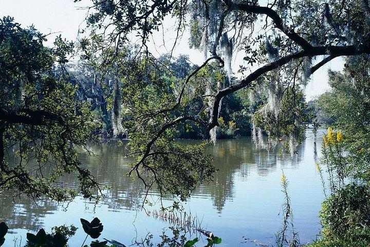 Un paseo por el parque: City Park New Orleans Audio Tour