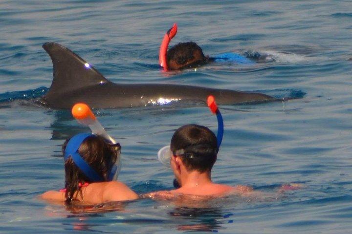 Dolphin House Royal Sea Trip mit Mittagessen, Wassersport - Hurghada