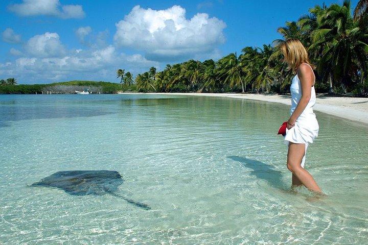 カンクンとプラヤ デル カルメンからの Isla Contoy & Isla Mujeres ツアー