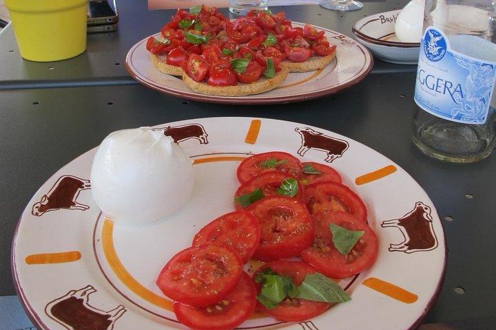 Private guided tour of Paestum and Buffalo Mozzarella farm lunch