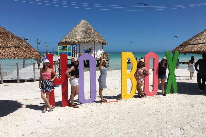 Isla Holbox Todo Incluido con Transporte (Desayuno y Comida Incluida)