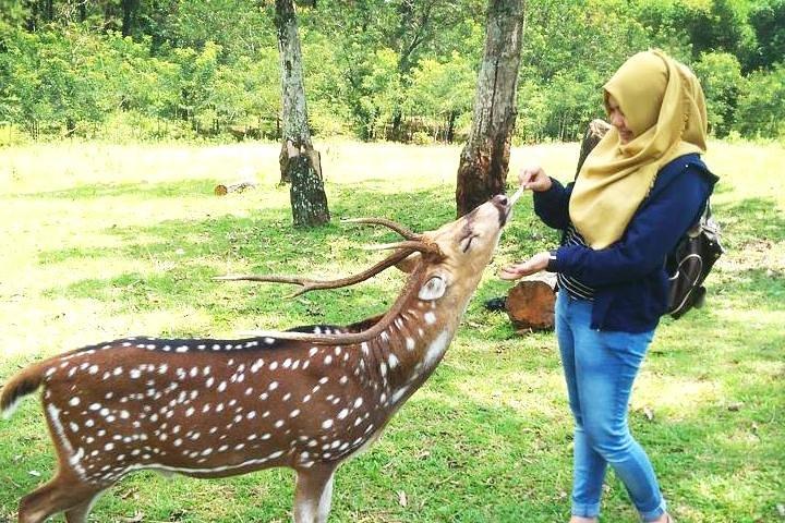 Excursão privada pela cidade de Bogor
