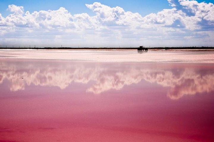 Ek Balam, Rio Lagartos og Las Coloradas privat tur fra Cancun