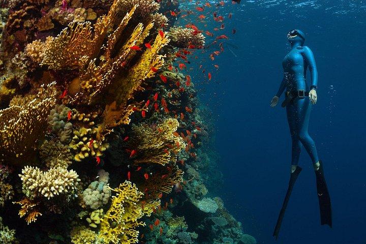 Versuchen Sie Freitauchen auf Nusa Penida