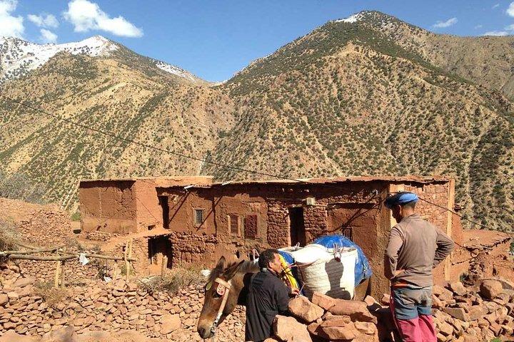 Dagstur från Marrakech till Atlasbergen och berberbyar inklusive lunch