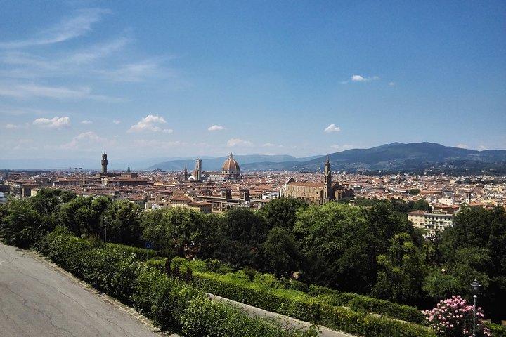 Le meilleur de la Toscane en 1 jour: Pise, Lucques et Florence - Visite privée de Livourne
