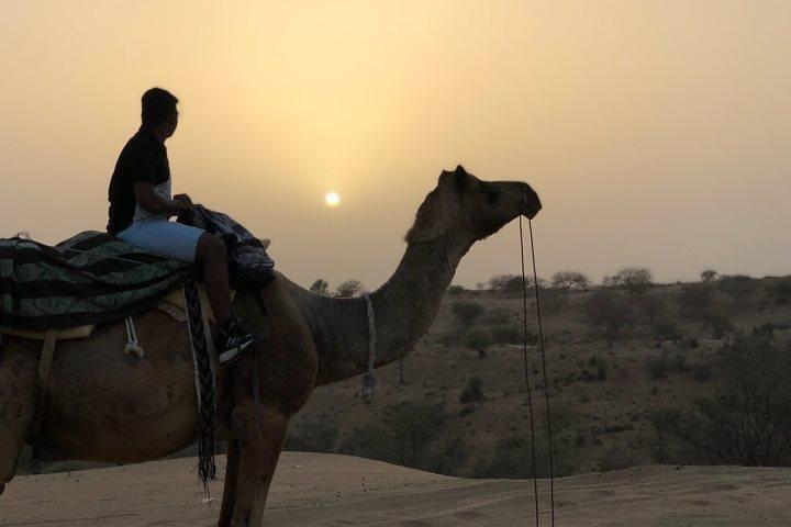 Desert Camel Safari & Jeep Safari Tour vanuit Jodhpur