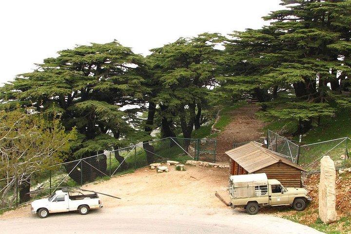 Deir el Qamar - Palacio Beiteddine - Cedros Chouf de Beirut