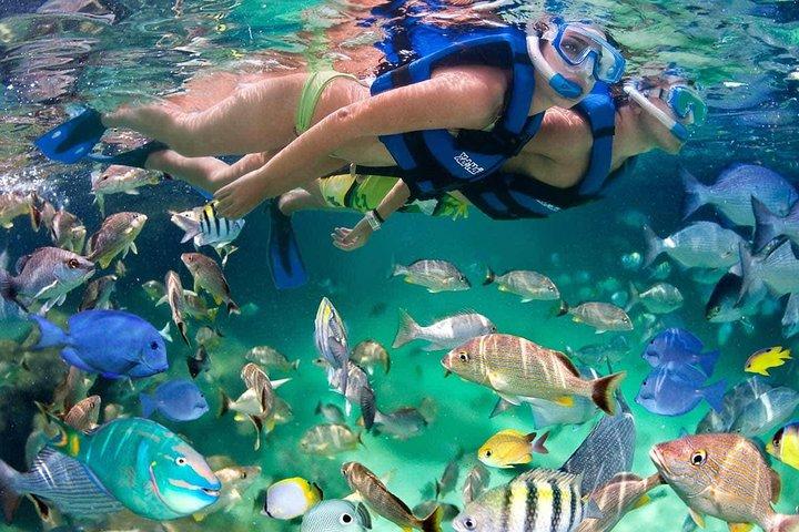 Descubra Isla Mujeres tour com snorkel, buffet e bar aberto