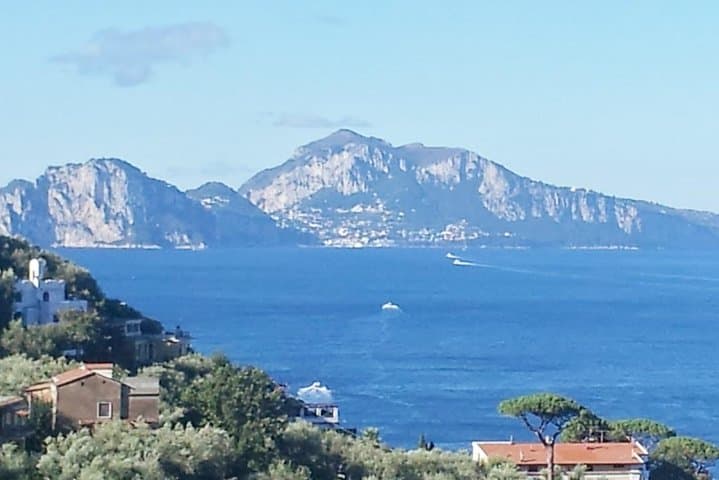 Sorrento Positano and Pompeii