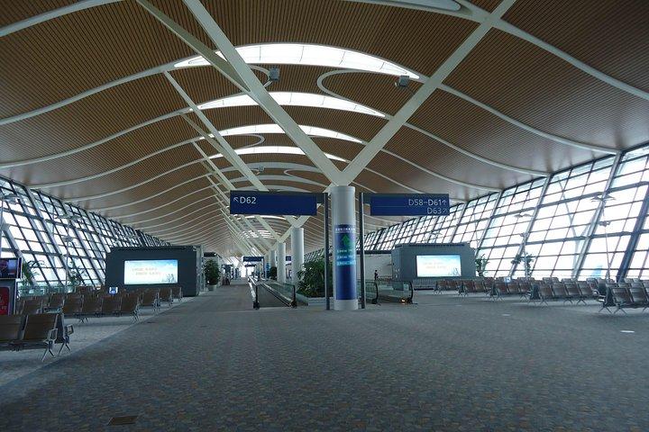 上海浦東空港英語サービスによるプライベート片道または往復送迎
