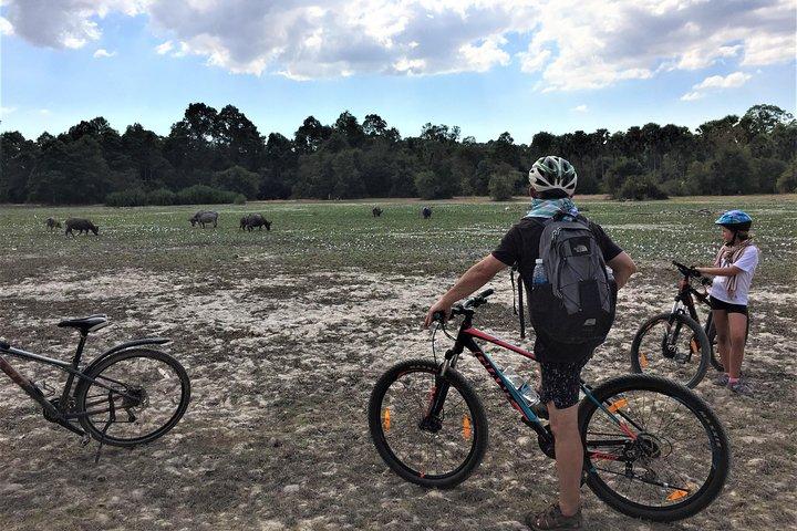 Tour privado en bicicleta VIP Angkor Wat Sunrise