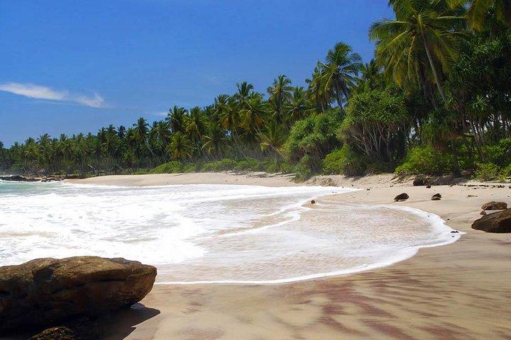 Aeroporto Internacional de Colombo para qualquer lugar apenas em Tangalle-Transport