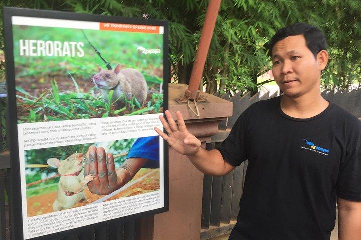 プライベートツアー：HERO Rats＆Angkor National Museum