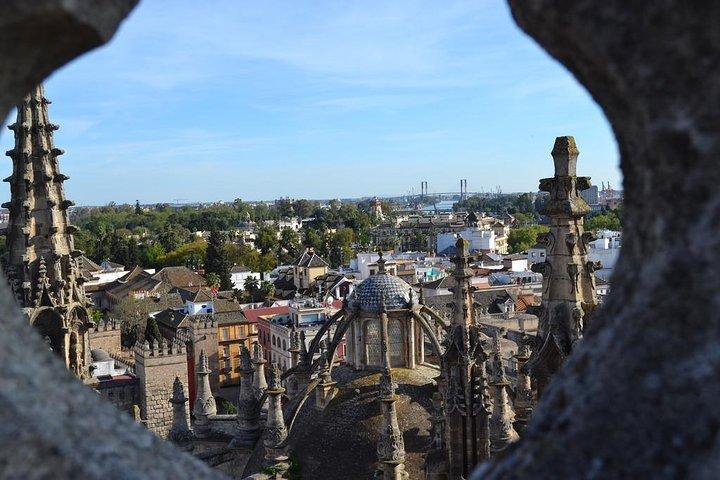 Tour privato di 12 ore a Siviglia da Malaga con prelievo dall'hotel