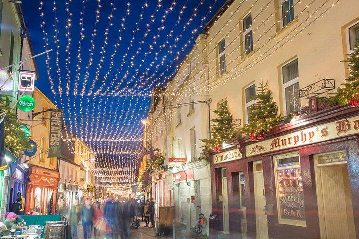 6 - Tagestour Südirland ab Dublin