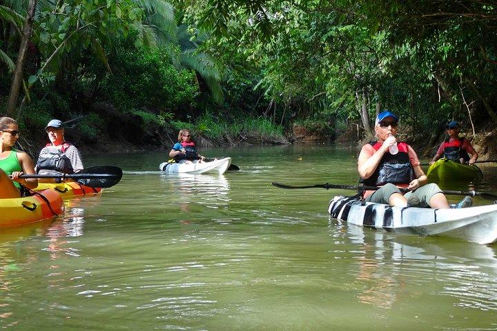 Mangrove-kajaktocht | Manuel Antonio