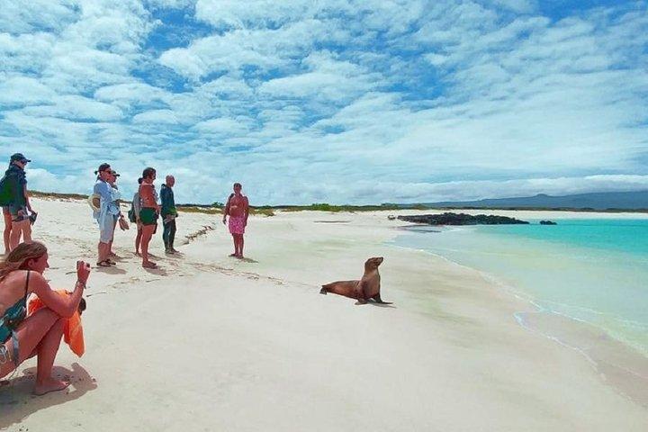 Ecuadorian Adventure Quito - Galápagos Islands 8 dagar 7 nätter