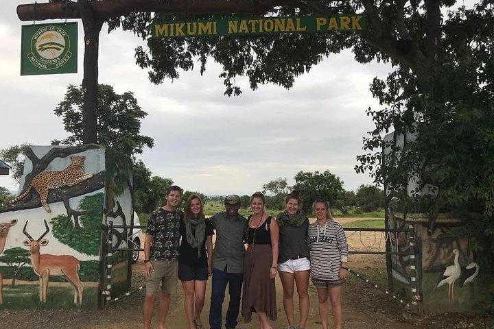 Mikumi National Park en Udzungwa Mountains National Park vanaf Morogoro 2 dagen
