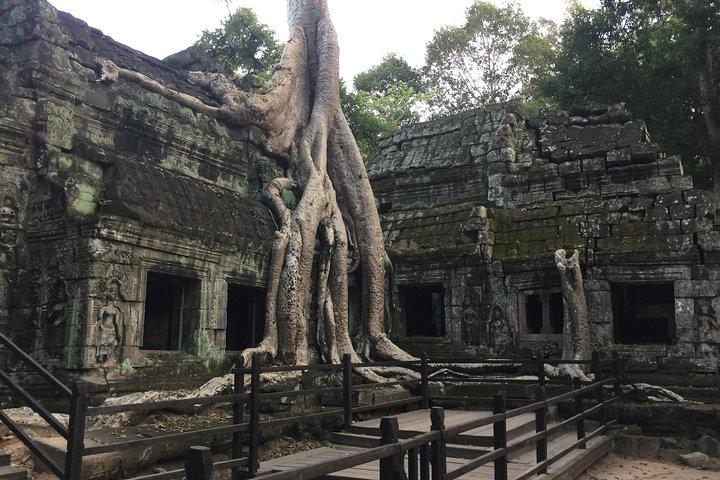 Bicicletta privata Angkor Wat Sunrise Bayon Ta Prohm