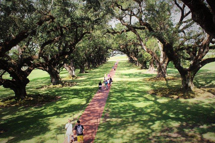 Oak Alley Plantation Tour mit Transport