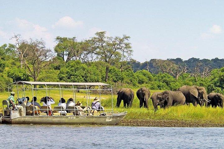 ビクトリア滝からの日帰り旅行でチョベ国立公園を探索