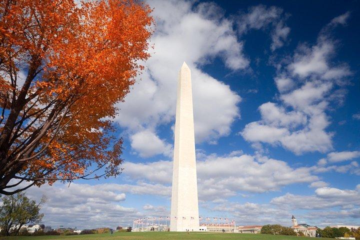 Washington DC Memorials and Monuments Tagestour mit 10 + Stopps