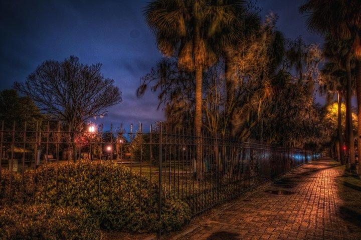 Savannah Beyond Good & Evil-tour