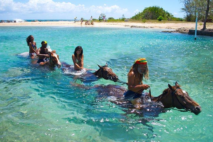 Jamaica Zipline en Horseback Ride n zwemmen Adventure Tour van Ocho Rios