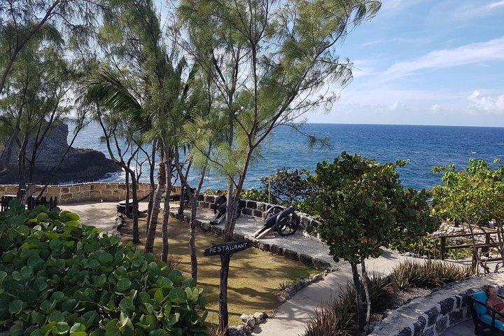 Barbados Heldags Private Tour