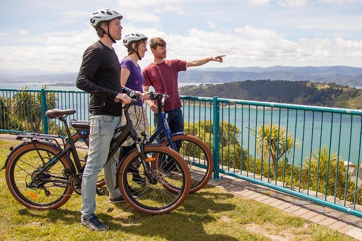 Begeleide Wellington-tour per elektrische fiets