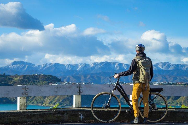 Visite guidée Wellington de 3 heures et plus en vélo électrique