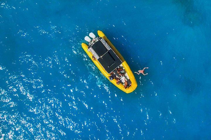 Lanai Deluxe Dolphin Adventure og 3 snorkelsteder