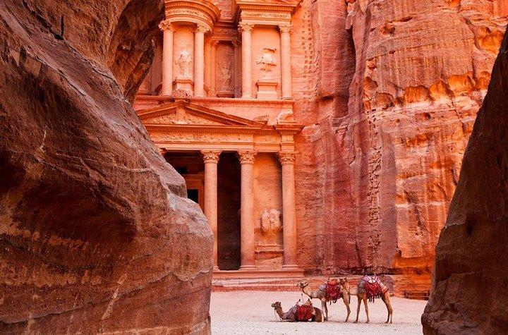 Private Day Trip di Petra, incluso il Mar Morto da Amman