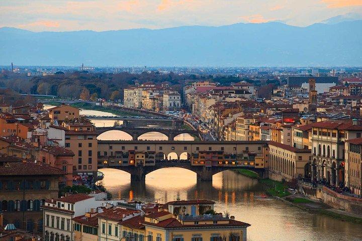 Excursão Terrestre em Livorno: Excursão Privativa a Pisa e Florença por minivan