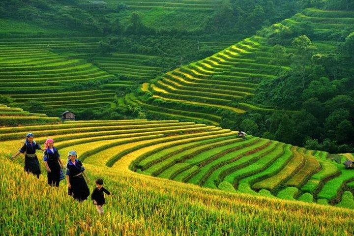 Sapa Trek 3 jours 3 nuits en petit groupe - Homestay and Hotel from Hanoi